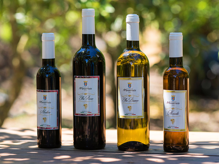 Wine of Elba Island