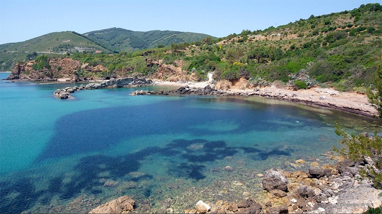 Spiaggia Felciaio - Capoliveri