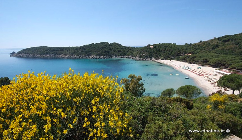 Spiaggia Fetovaia - Campo nell'Elba