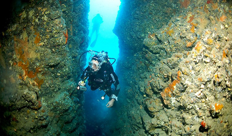 Diving Isola Elba