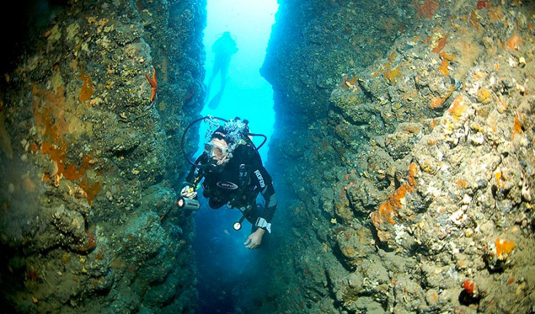 Diving on Elba Island